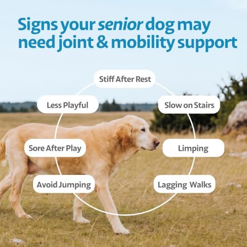 Hip and Joint Supplement for Dogs – Boswellia, Ashwagandha & Turmeric – Stiff Joints, Reduced Mobility & Senior Dog Support – Pork Flavor – 90 Count