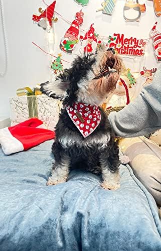 Lionet Paws Christmas Dog Bandana (Pack of 1)