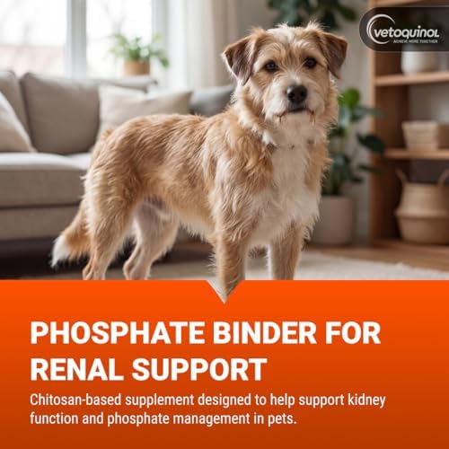 Vetoquinol Epakitin Chitosin-Based Phosphate Binder for Cats & Dogs – Renal Support Supplement Powder - 300g