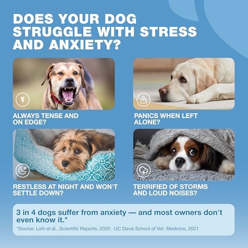 Hemp Calming Chews for Dogs Anxiety Relief & Calming Treats with Melatonin