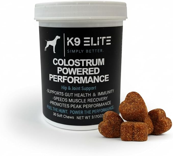 Hip & Joint Supplement for Dogs – Glucosamine, Chondroitin, Green Lipped Mussel, Colostrum, Collagen & Omega-3 – Daily Joint, Mobility, Gut & Immune Support –