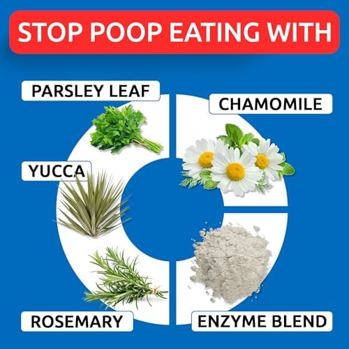 No Poo Chews for Dogs - Coprophagia & Stool Eating Deterrent with Probiotics, Digestive Enzymes & Breath Aid Support - Stop Dog Poop Eating