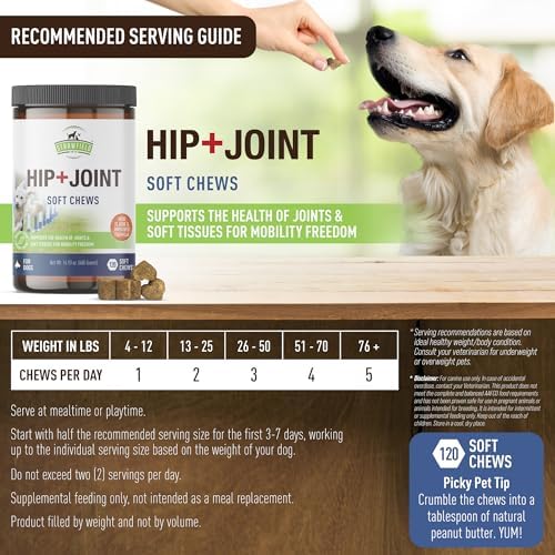 Strawfield Pets Hip + Joint Chews for Dogs Advanced Dog Joint Supplement with Glucosamine Tasty Healthy Mobility Treats Bacon Flavor 120 Chews