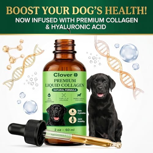 Clover Collagen for Dogs, Triple Hydrolyzed Liquid Collagen Peptides with Glucosamine and Hyaluronic Acid, Joint Mobility Support, Skin and Coat Supplement Drops (1PC)