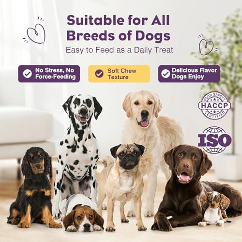 Probiotics for Dogs 200pcs Dog Probiotics for Digestive Health Bacon