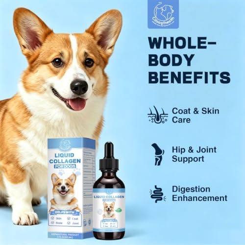 Premium Liquid Collagen for Dogs - Promotes a Glossy Coat, Hip & Joint Flexibility - Easy-Absorb Hydrolyzed Collagen Peptides with Eggshell Membrane - 2 fl oz