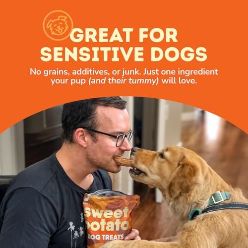 Davie's Naturals Sweet Potato Dog Chews, 1 lb Pack of 5