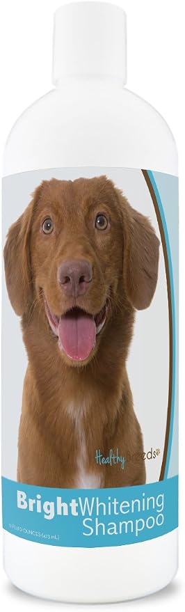Healthy Breeds Nova Scotia Duck Tolling Retriever Bright Whitening Shampoo 12 oz