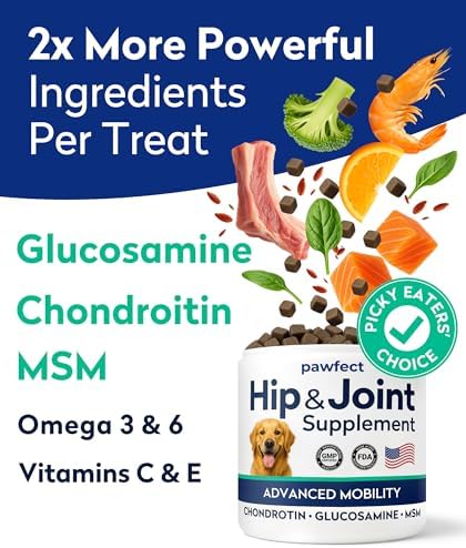 PAWFECTCHEW Advanced Hip & Joint Glucosamine Supplement for Dogs - Treats for Picky Eaters w/Chondroitin, MSM, Omega-3 - Joint Pain Relief - Chicken Liver - 180 Ct - Made in USA