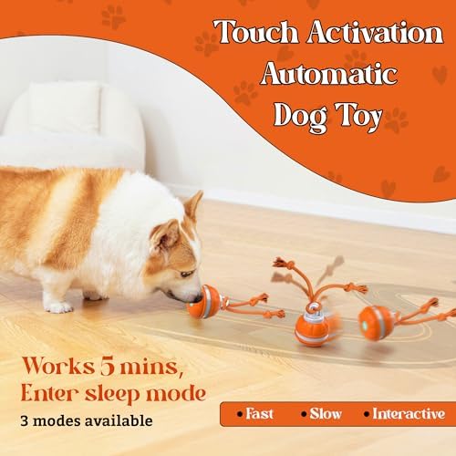Interactive Dog - Motion Activated Rolling for Puppies & Small Dogs, USB Rechargeable Automatic Pet Ball, Smart Moving Toy for Boredom & Exercise, Durable Dog Chew Toy Orange