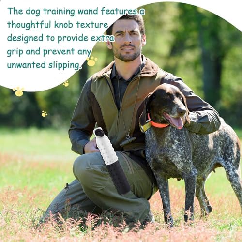 Blueweenly Multicolor Dog Bumper Toy Training Dummy, 4 Pcs | Plastic Lightweight Floats on Water, Textured with Rope for Fetch, Pool Outdoor Retrieving, Summer Water Play