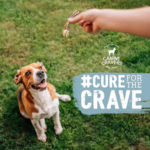 Canine Cravers Single Ingredient Dog Treats - Wild Caught Lake Smelt, 3oz (Pack of 2)
