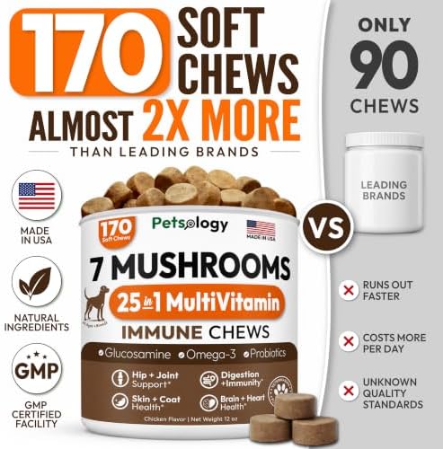 Turkey Tail Mushroom for Dogs - 170 Chews - Lion's Mane, Shiitake & Reishi | Buddy Immune Support Guard - Mushroom Supplement for Dogs Lumps & Bumps - Glucosamine, Health Vitamins & Multivitamin