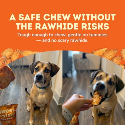 Davie's Naturals Sweet Potato Dog Chews, 1 lb Pack of 5