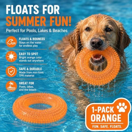 Squeaky Dog Toy, Floating Donut Ring, Large Dogs, Orange
