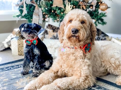 Blueberry Pet “Moments of Excitement” Snowman Bowtie Dog Collar, Small, Adjustable 12"-16" Neck
