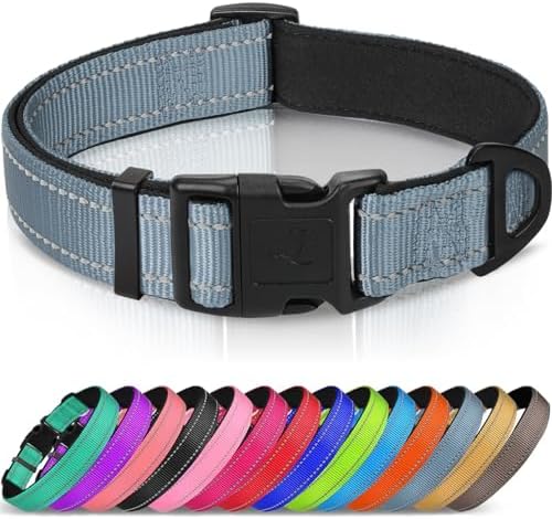 Joytale Reflective Dog Collar, Adjustable Neoprene Padded, Gray M