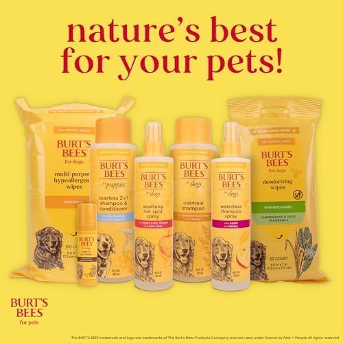 Burts Bees for Pets Oatmeal Dog Conditioner, Fragrance-Free, 10 Fl Oz, 2-Pk | Colloidal oat flour and honey moisturize and soften dry coats, pH-balanced, 95% natural origin