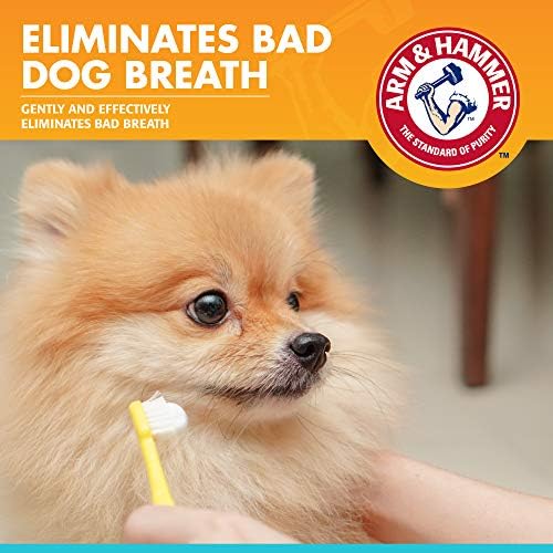Arm & Hammer Fresh Breath Enzymatic Dog Toothpaste, Vanilla Ginger, 2.5 Oz | Baking soda dental gel eliminates bad breath, safe for daily use in puppies and adult dogs