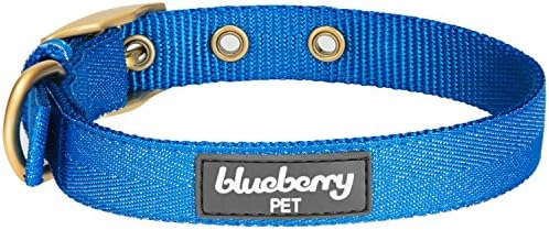 Blueberry Pet The Most Coveted Designer Mixed Metallic Thread Adjustable Dog Collar in Sparkling Azure Blue with Metal Buckle, Neck 13-16.5", for Medium Breed