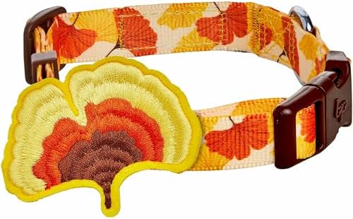 Blueberry Pet Thanksgiving Fall Ginkgo Biloba Leaf Adjustable Dog Collar with Detachable Accessory, Large, Neck 18"-26"