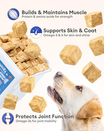 Freeze Dried Salmon Dog Treats,Single Ingredient,for All Dogs-11oz