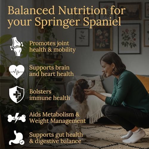 Springer Spaniel Multivitamins, 90 Count, Made in the USA with Real Bacon.