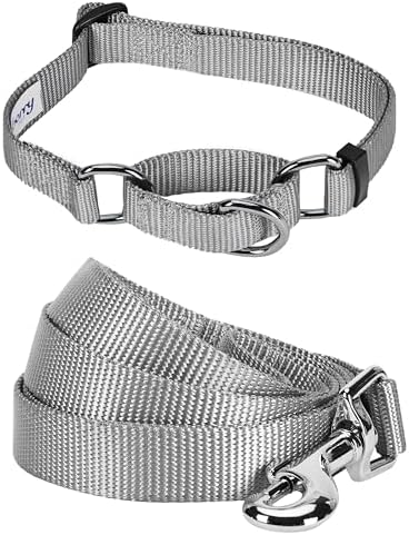 Blueberry Pet Essentials Matching Martingale Dog Collar and Leash Set in Flint Gray, Heavy Duty Nylon Adjustable Collars with 5 ft Leash for Small Dogs