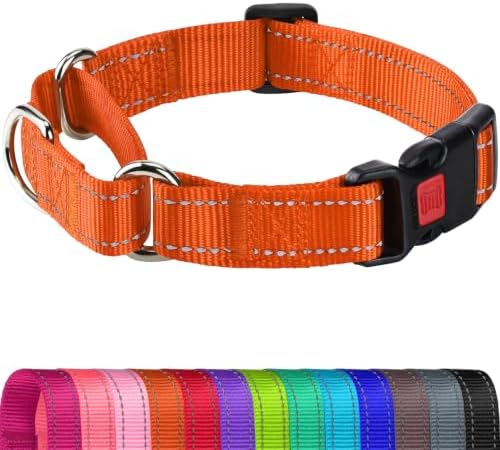 Joytale Martingale Collar for Dogs, Escape Proof No Pull, Orange, M