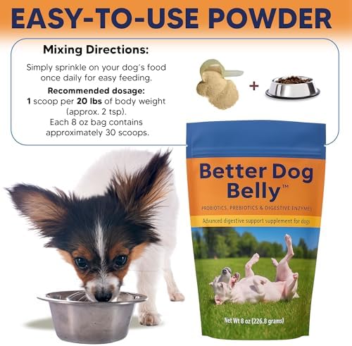 Better Dog Belly Probiotic Supplement for Digestive Health, Powder Prebiotics & Probiotics for Dogs, Supports Gut Health & Balanced Pet Nutrition, 8 Oz Bag