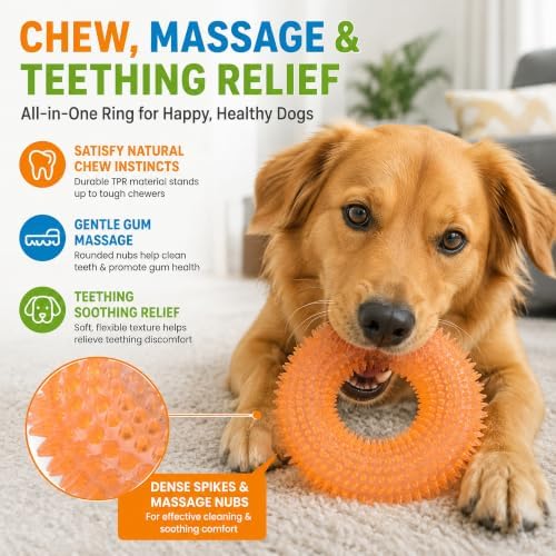 Squeaky Dog Toy, Floating Donut Ring, Large Dogs, Orange