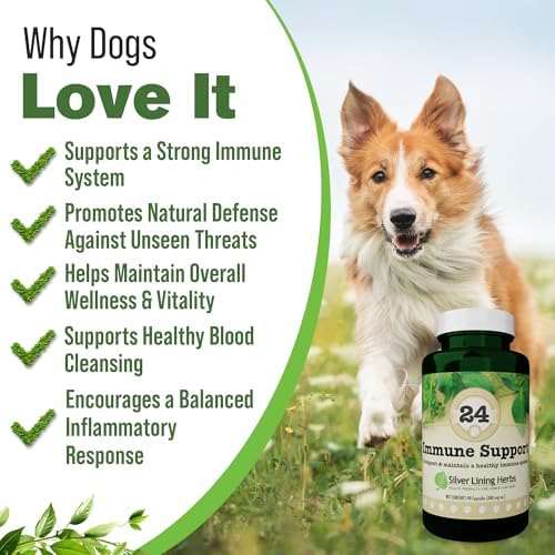 Silver Lining Herbs Dog Immune Support Supplement - 90 Capsules