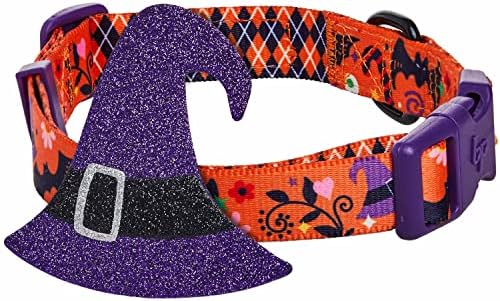 Blueberry Pet Halloween Witch Hat Adjustable Dog Collar with Detachable Glitter Accessory, Small, Neck 12"-16"