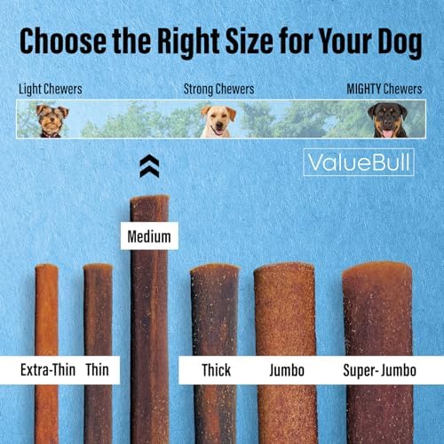 ValueBull Beef Collagen Sticks for Dogs, 12 Inch Medium Chew, 75 Count