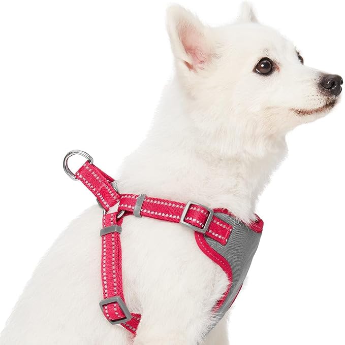 Blueberry Pet Matching Reflective Harness and Leash Set | Adjustable Pastel Vest with Lead for Dogs – Great Value Gift Set | Adjustable Very Berry Vest for Medium Breeds