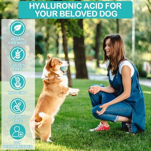 Hyaluronic Acid Joint Supplement for Dogs, Dog Hip and Joint Supplement, High Molecular Weight Natural Support for Dog Joint Health & Movement, Premium Dogs Essentials for Joint, Skin, Coat, Eye Care