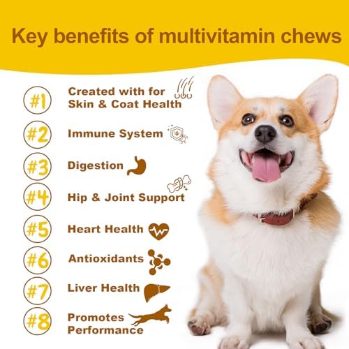 Daily Dog Multivitamin, Chewable Dog Vitamins and Supplements for Hip & Joints, Skin & Coat, Probiotics & Omega 3 Fish Oil for Dogs - Senior & Puppy Multivitamin - 90 Chews