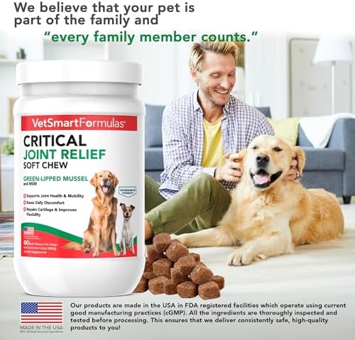 VetSmart Formulas Critical Joint Relief Soft Chew for Dogs – Hip & Joint Supplement with Glucosamine, MSM, Green-Lipped Mussel – Joint Discomfort, Hip Dysplasia & Mobility Support, Made in USA