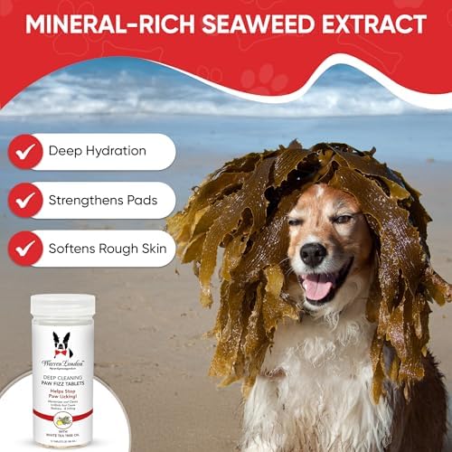 Warren London Deep Cleaning Paw Soak & Spray Combo | Soothes Itchy Paws with Seaweed, Tea Tree Oil & Aloe Vera | Anti-Lick Treatment | 12 Tablets + Deep Clean Paw Spray | Groomer-Approved Relief