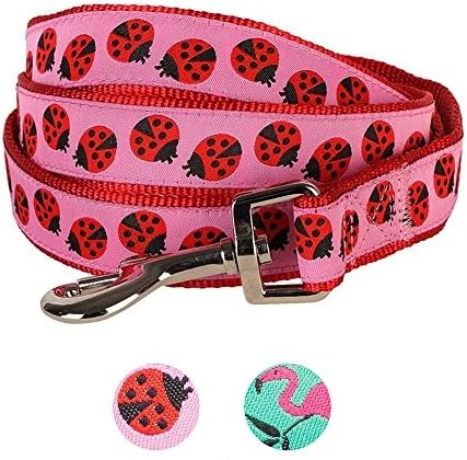 Blueberry Pet Essentials 2 Patterns Durable Pink Webbing Ladybug Designer Dog Leash 5 ft x 5/8", Small, Basic Nylon Leashes for Dogs