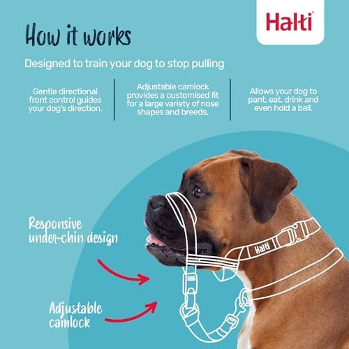 Halti Optifit Headcollar for Dogs | Size S