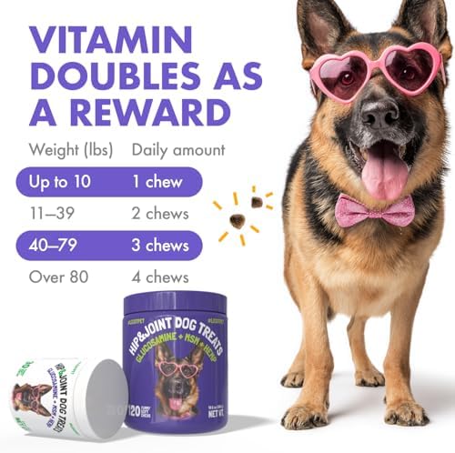 LEGITPET Hemp Hip & Joint Supplement for Dogs Soft Chews Made in USA Functional Glucosamine for Dogs Chondroitin MSM Turmeric Hemp Seed Oil Natural Pain Relief Mobility Advanced Joint 120 Treats