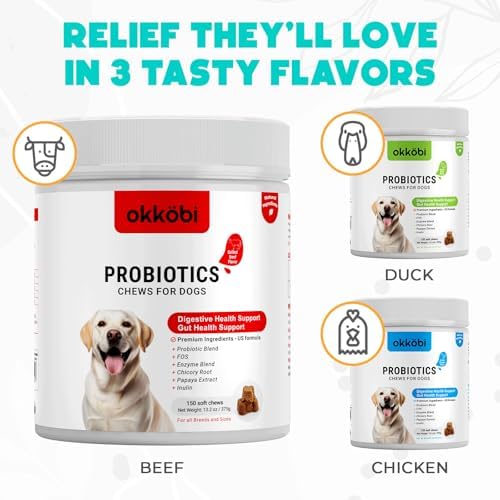 Probiotics for Dogs Chews 150 pcs - Probiotic Chews for Dogs with Enzymes & Natural Ingredients - Digestive & Gut Health Support - US Formula - Beef Flavored