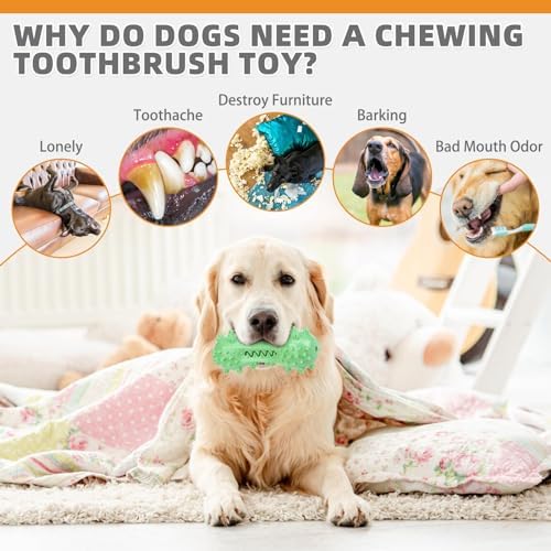 KOOLTAIL Floating Dog Bumper Toothbrush Chew Toy, Green