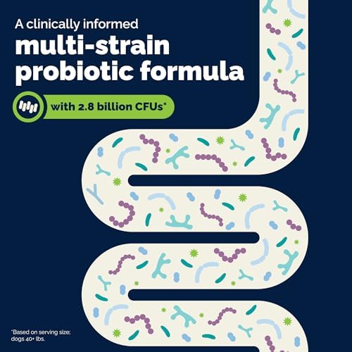 Vetnique Glandex Probiotic & Anal Gland Chews Bundle - 30ct + 30ct