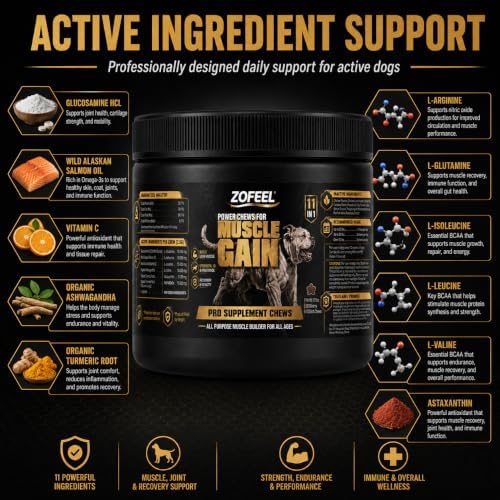 Dog Muscle Gain Power Chews, 11-in-1 Dog Amino Acid Supplement with Glucosamine, Salmon Oil, Ashwagandha, Turmeric & BCAAs, 120 Soft Chews 10.58oz