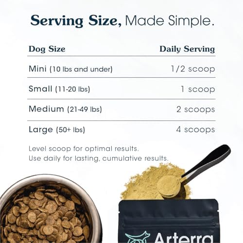 Senior Dog Powder Supplement & Food Topper - 63 Ingredients - 120 Scoops | For Joint, Gut, Immune & Brain Health, Daily Longevity Multivitamin with Glucosamine, Probiotics, and Fish Oil