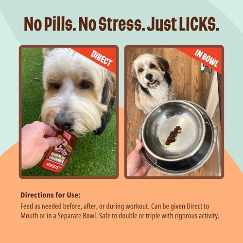 Licks Active Dog - Muscle Recovery & Energy Support for Active Dogs - Amino Acids, L-Carnitine, Glucosamine, Omega-3 Fish Oil & Vitamin B6 - Pill-Free Liquid Packets - Chicken Flavor - 5 Packets
