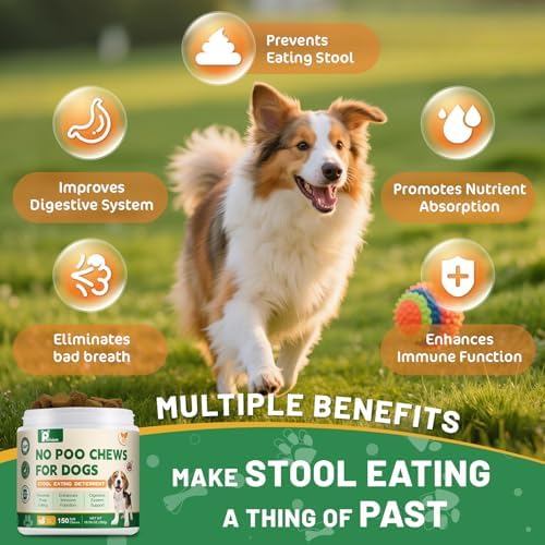 No Poo Chews - Coprophagia Deterrent for Dogs, No Poop Eating Deterrent for Dogs, Stopping Dog from Eating Poop Supplement with Probiotics & Digestive Enzymes, Duck Flavor