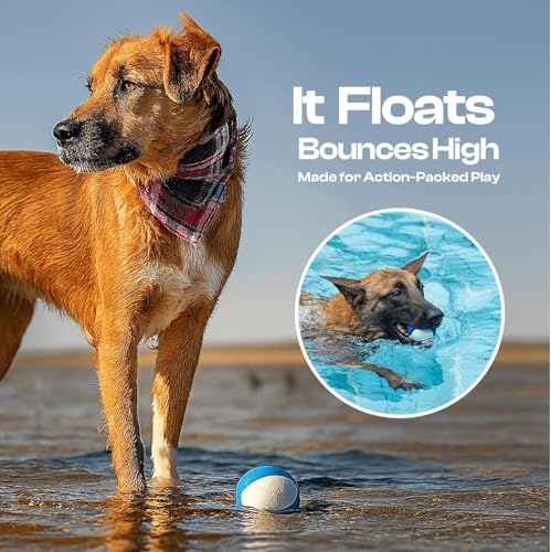 Squeaky Dog Toy, Durable Rubber Ball, Medium & Large Dogs, Ocean